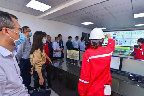 集团公司2021年度技术专家咨询会诊活动圆满结束