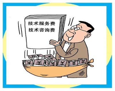技术服务费与技术咨询的含义与关系解析